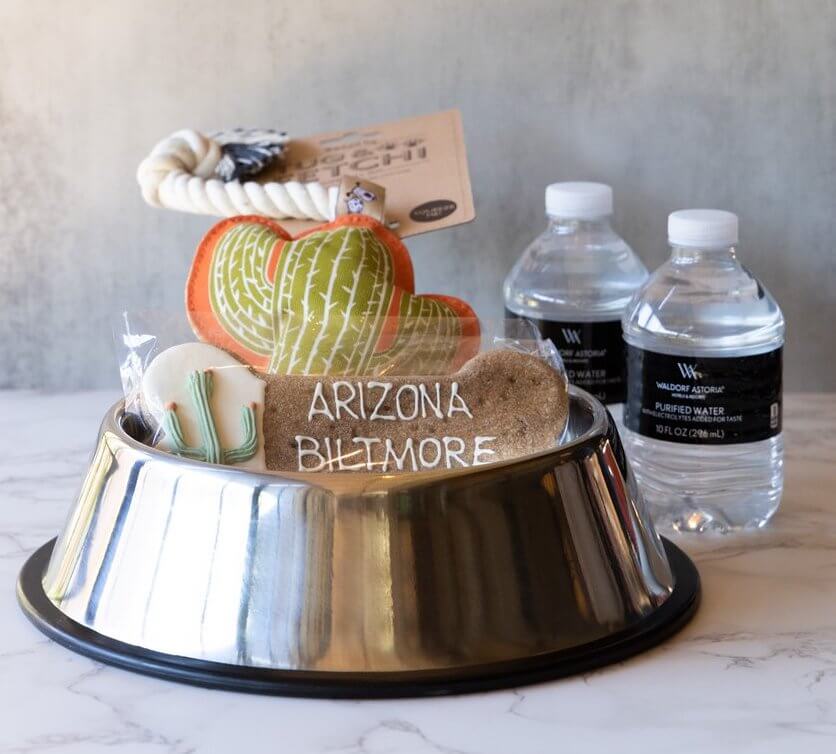 pet accessories, Introducing Arizona Biltmore’s New Line of Pet Products with PrideBites