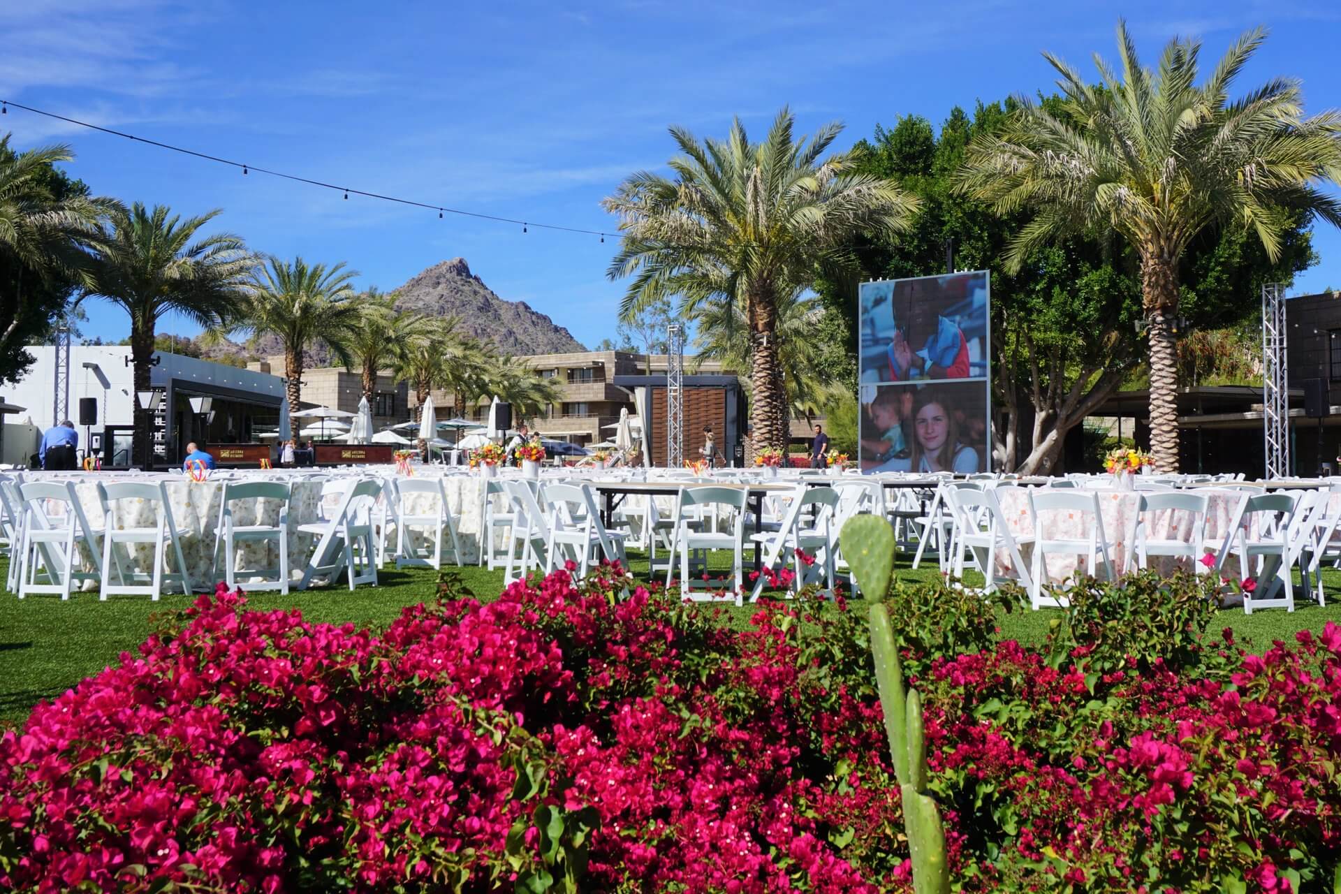 Outdoor event setup with white chairs and tables arranged on a grassy area surrounded by palm trees. A large poster on the right features photos of people. The foreground has vibrant pink flowers, and a mountain is visible in the background under a clear blue sky.